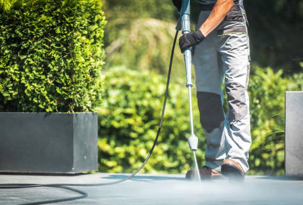 Best Driveway Pressure Washing  in Carrollwood, FL