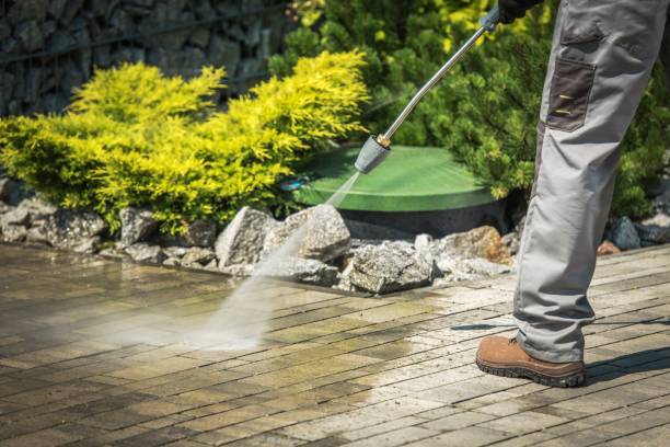 Best Post-Construction Pressure Washing  in Carrollwood, FL