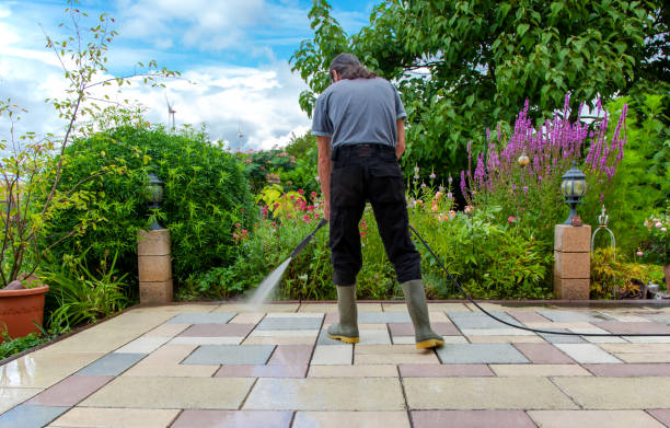Best Restaurant Pressure Washing  in Carrollwood, FL